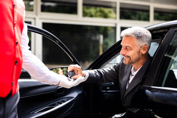 Cheap Safe Driver Monthly Services in Dubai